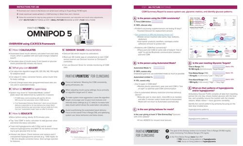 PANTHERTOOL for Omnipod 5 Overview of CARES Framework screenshot
